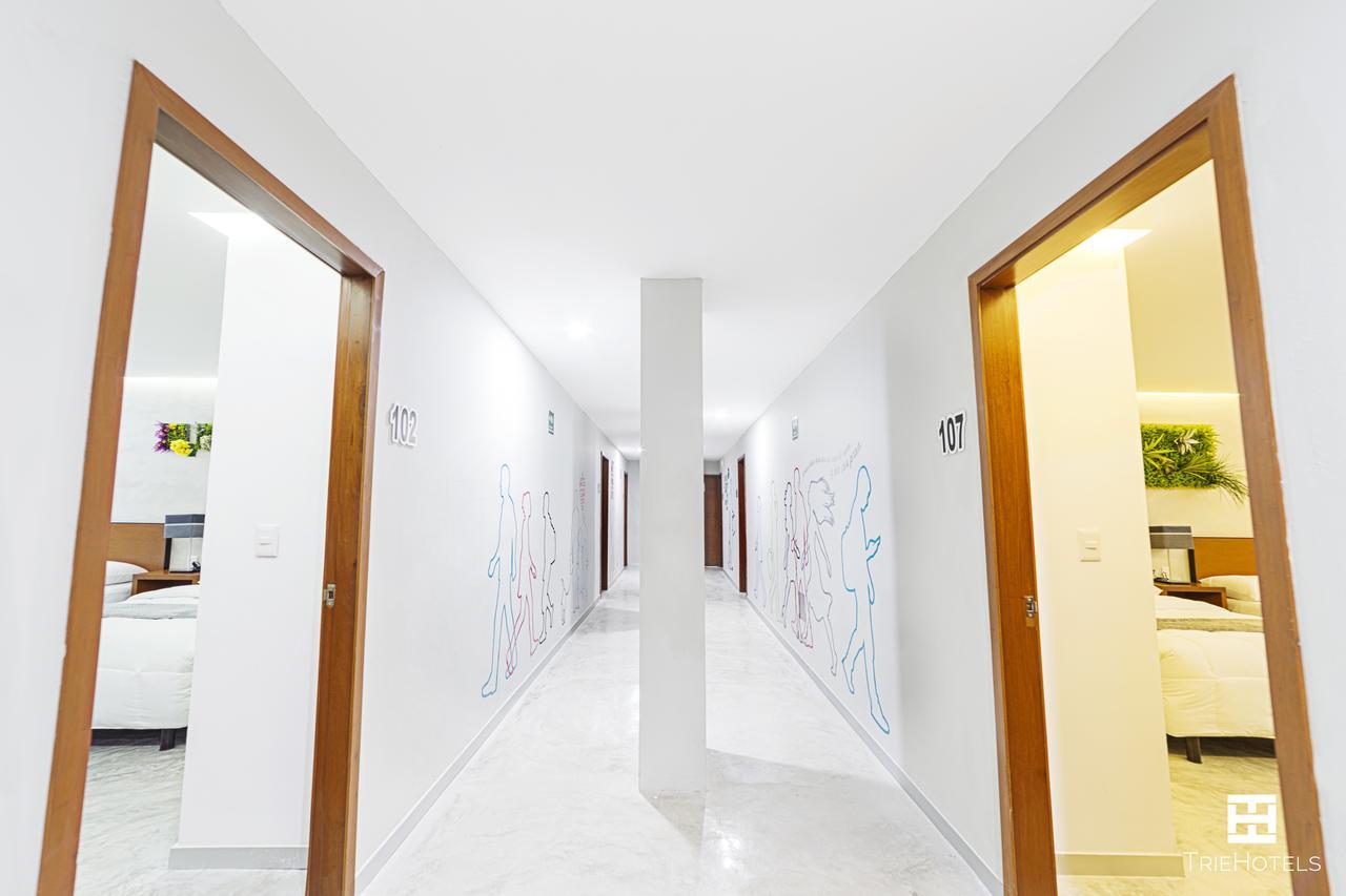 Hotel Urban 101 Chetumal Kültér fotó